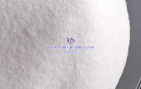 偏钨酸铵水合物在催化剂领域的发展趋势是什么？