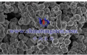 钨粉的重量是多少？