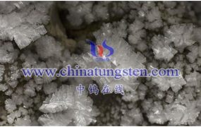 什么是氧化硅基底双层二硒化钨？