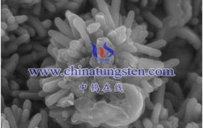 什么是纳米二硫化钨粉？