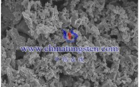 纳米级二硫化钨（WS2）应用方向有哪些？