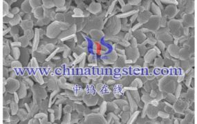 什么是纳米二硫化钼（MoS2）？