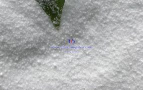 偏钨酸铵（AMT）在什么条件下可以形成水合物？