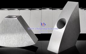 什么是钨面对等离子体部件（W-PFUs）？