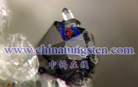 钨精矿的成本有哪些主要部分组成？