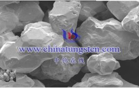 最粗的钨粉是什么？