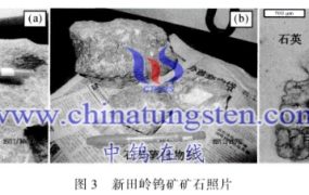新田岭钨矿