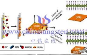 钨酸铋（Bi2WO6）的结构组成是怎样的？