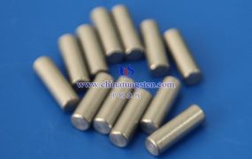 钡钨电极在电子警察领域有哪些应用？