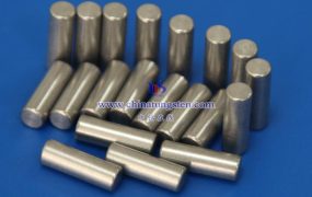 什么是钡钨合金频闪灯电极？