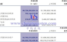 洛阳钼业2023上半年运营如何？
