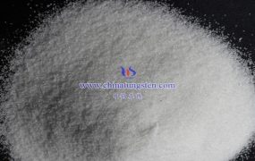 USGS 关于钨矿床和化学的报告，1900-2005 年