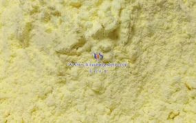 氧化钨基太阳能电池的原理是什么？