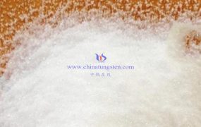 《钨化学基础》（Grundlagen der Wolframchemie）