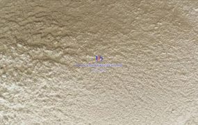 《钨卤化物研究》（タングステン卤化物研究）