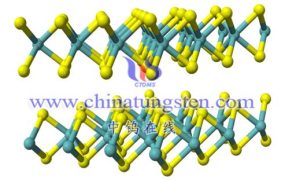 二硫化钨的毒性问题有哪些？