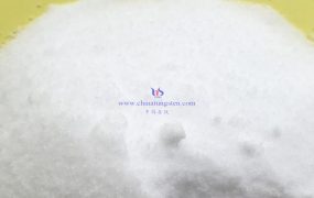 《钨医药应用》（Tungsten in Medical Applications）