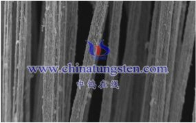 二硫化钨简介