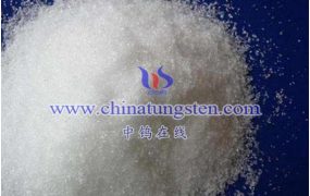 钨酸的物理特性是什么？