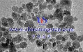 什么是少层二硫化钨分散液？