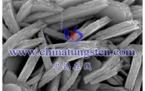 什么是薄层二硫化钨粉？