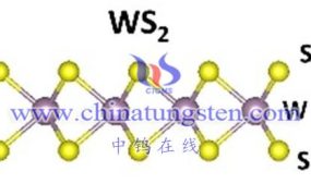 什么是小片径少层二硫化钨粉