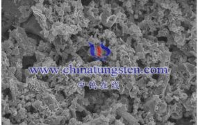 什么是二硫化钨单层量子点粉？