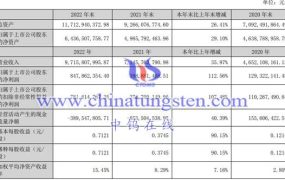 稀土企业：中科三环2022年运行情况