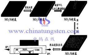 什么是二硫化钨纳米片？