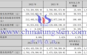 稀土企业：英洛华2022年运行情况