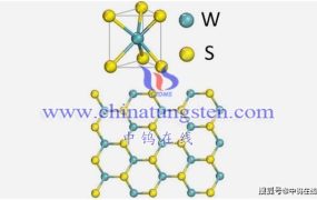 什么是蓝宝石基底单层二硫化钨（CVD）？
