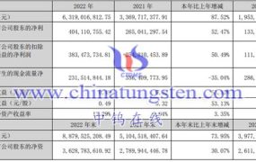 稀土企业：正海磁材2022年运行情况