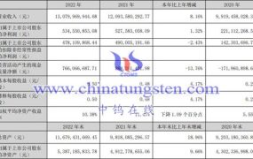 中钨高新2022年运行情况