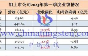 钼上市公司2023年第一季度业绩汇总