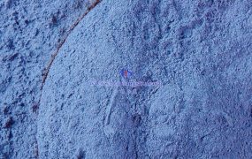 氧化钨在光致变色材料方面的应用是什么？