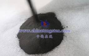 2H 相二硫化钨有什么特点?