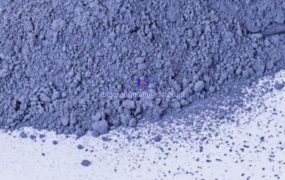 WO3NPs（氧化钨纳米颗粒）在治疗IBD方面的作用是什么？