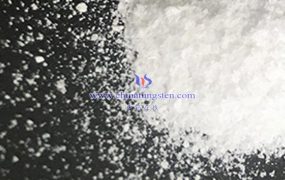 偏钨酸铵的毒性评估结果如何？