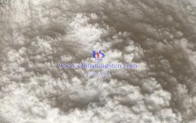 偏钨酸铵的精确质量是多少？