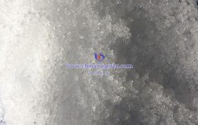 如何检测偏钨酸铵的二氧化钨含量？