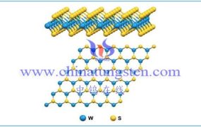 二硫化钨的基本事实有哪些？