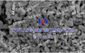 什么是纳米二硫化钨？（Nano Tungsten(IV) Sulfide Powder）