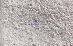 如何测定偏钨酸铵的相变行为？