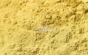 氧化钨表面的吸附能如何计算？对催化性能有何影响？