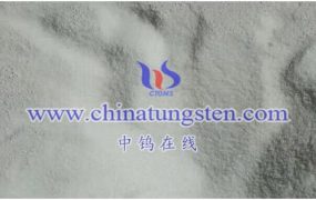 偏钨酸铵与有机催化剂的协同效应有哪些研究？