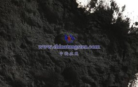 黑色氧化钨在化学中的应用有哪些？