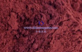 贵金属负载氧化钨纳米线的用途有哪些？