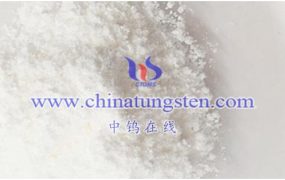 偏钨酸铵生产技术创新趋势如何？