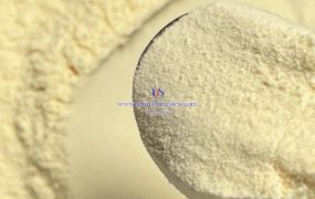 氧化钨在光催化降解污染物方面有哪些应用？