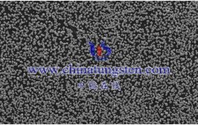 什么是钨粉的比表面?